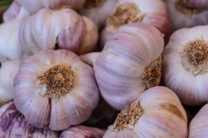 garlic, tuber, healthy
