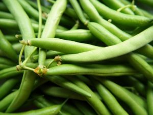 green beans, vegetables, garden
