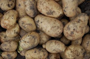 potatoes, vegetable, tubers