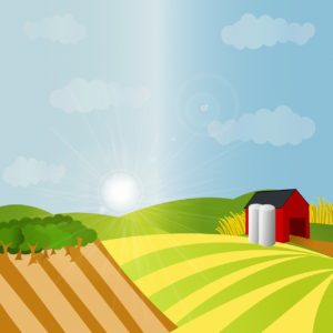 farm background, farm, barn