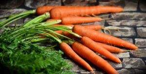 carrots, vegetables, harvest